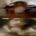 Nude housewives Dallas