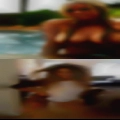Average pussy Harlingen